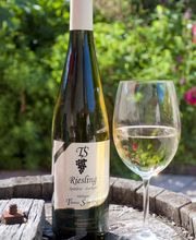 Weingut & Gästehaus Thomas Schwibinger Bild 1