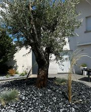 Daniel Moquet signe vos jardins - Ent. Zenadi image 3