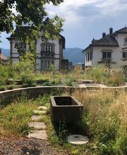 Naturgarten Werk Marc Styger Bild 3