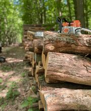 Baumdienst Sieber Bild 1