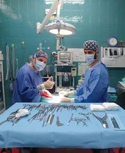 Don Can Servicios Veterinarios S.L.P. imagen 5