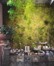 ART NATURAL stucki Bild 2