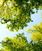 bauso! Ossé  GbR Bild 1