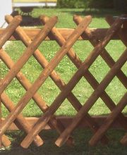 Bösch-Gärten AG Bild 5