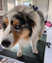 Chez Miss Perle image 3