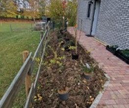 Haus-Garten-Service Bild 7
