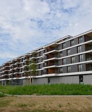 Zollinger Immobilien Bild 10