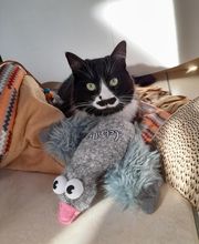 Halle aux Croquettes Labatut image 11