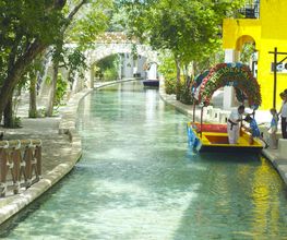 Occidental at Xcaret Destination - All Inclusive imagen 9