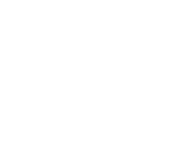 SteuriFisch AG Bild 4