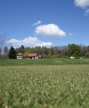 Golf de Pra Roman Bild 4