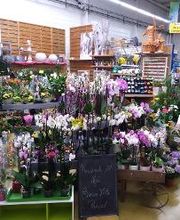 Bricomarché Commercy image 18