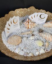 chronischGesund, cell-re-active-training Bild 5