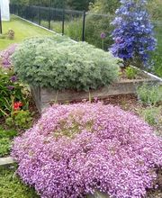 GC Jardins Gilles Chazal image 3