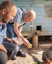 Frienisberg - üses Dorf Bild 11