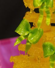 Glucoze SA : Travail du sucre Bild 12