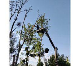 SJ TRAVAUX image 7