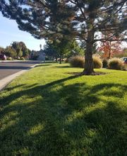 Cutting Edge Landscape Nampa image 2