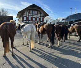 Reitstall Bühl Bild 14