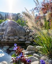 Widler Gartenbau + Floristik AG Bild 8