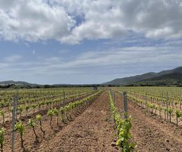 Domaine de Tanella image 8