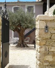 LE JARDIN D'EDEN image 3