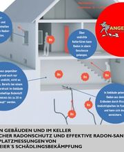 Angermeier's Schädlingsbekämpfung GmbH Bild 1
