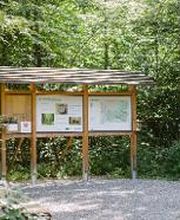 FriedWald Elisenruhe Bild 2
