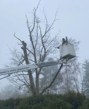 Artisan Elagueur David image 5