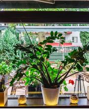 Der Kretaner Bild 14