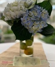 HipPOPs handcrafted gelato bars image 3