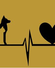 Anna der Salon mit Herz und Verstand Bild 2