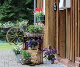 Haasehof Bild 16