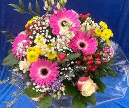 Blumen Haider Bild 20