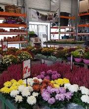 Bricomarché Saint-Pourçain-Sur-Sioule image 16