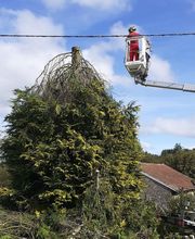 Duverneix Francois image 9