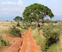 TUKIO Afrika Bild 7