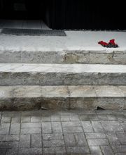 Gartenarbeiten aller Art Bild 5