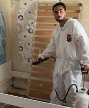 Gothon Dératisation Désinsectisation Désinfection image 6