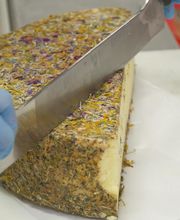 Passion Fruits SAS image 10