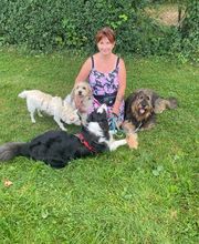 marionsalltagshunde mobile Hundetrainerin Bild 2