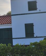 Renard Dianni image 10