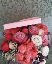 Gallery Cliente