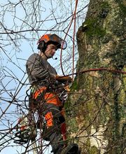 Baumdienst Behan Bild 9