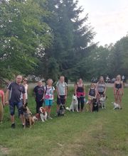 Amis Dogs 76 image 4