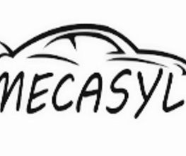 MECASYL image 5
