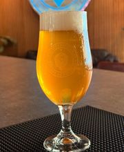 Catalyst Crafted Ales image 9