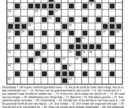Buzing Puzzels