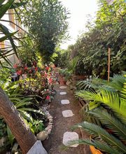 Sud Contact Haut-Pays image 11