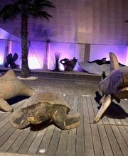 AS Elec SASU image 1